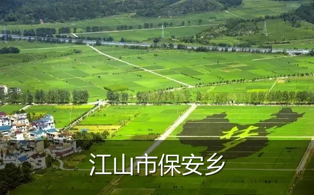 江山市保安乡
